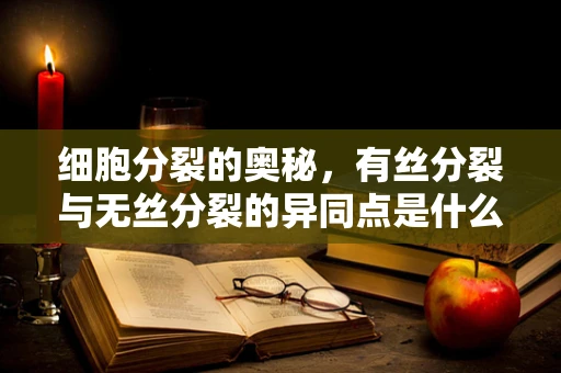 细胞分裂的奥秘，有丝分裂与无丝分裂的异同点是什么？