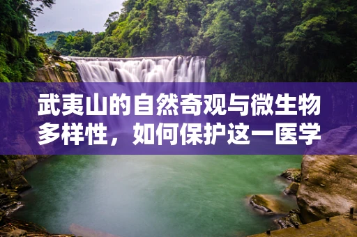 武夷山的自然奇观与微生物多样性，如何保护这一医学宝库？