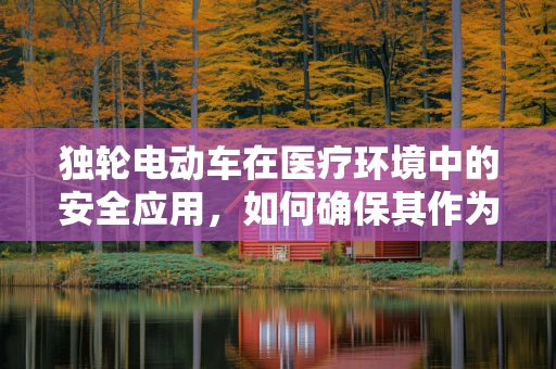 独轮电动车在医疗环境中的安全应用，如何确保其作为辅助移动工具的可靠性？