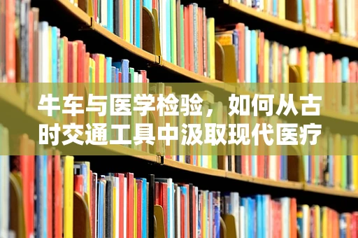 牛车与医学检验，如何从古时交通工具中汲取现代医疗灵感？