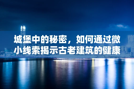 城堡中的秘密，如何通过微小线索揭示古老建筑的健康状况？
