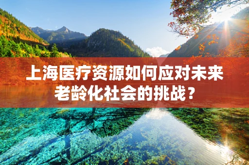 上海医疗资源如何应对未来老龄化社会的挑战？