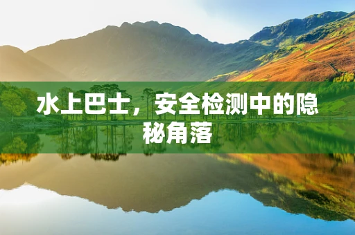 水上巴士，安全检测中的隐秘角落