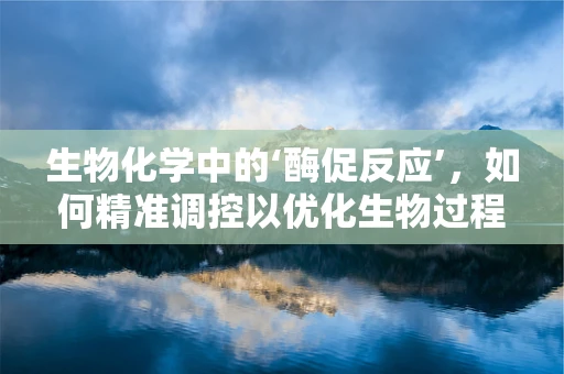 生物化学中的‘酶促反应’，如何精准调控以优化生物过程？