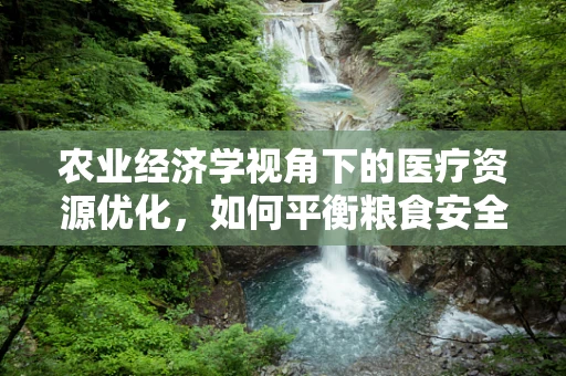农业经济学视角下的医疗资源优化，如何平衡粮食安全与医疗保障？