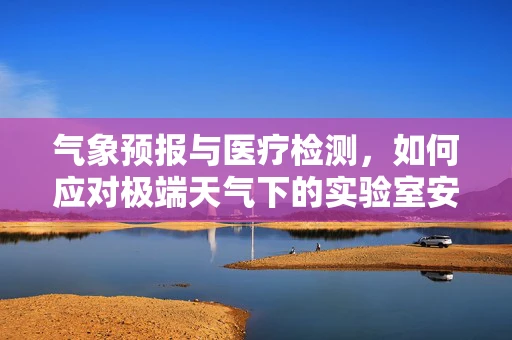 气象预报与医疗检测，如何应对极端天气下的实验室安全？