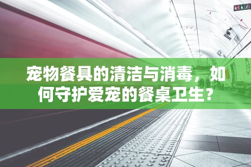宠物餐具的清洁与消毒，如何守护爱宠的餐桌卫生？