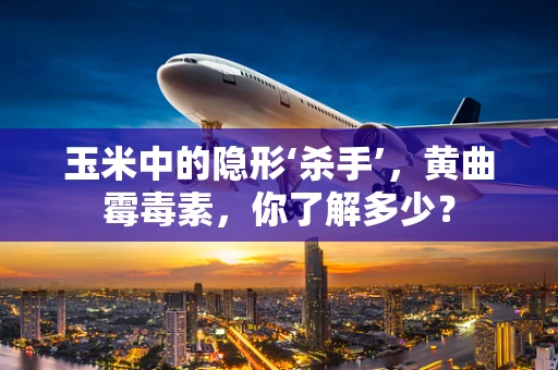 玉米中的隐形‘杀手’，黄曲霉毒素，你了解多少？