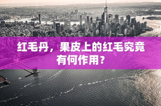 红毛丹，果皮上的红毛究竟有何作用？