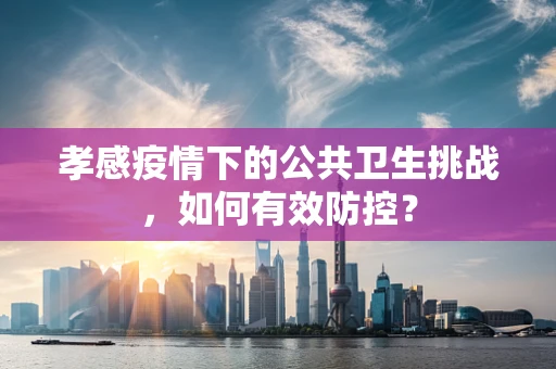 孝感疫情下的公共卫生挑战，如何有效防控？