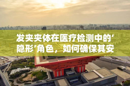 发夹夹体在医疗检测中的‘隐形’角色，如何确保其安全性？