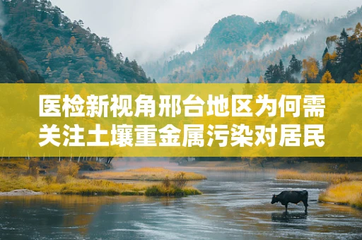医检新视角邢台地区为何需关注土壤重金属污染对居民健康的影响？