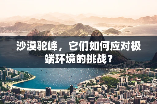 沙漠驼峰，它们如何应对极端环境的挑战？