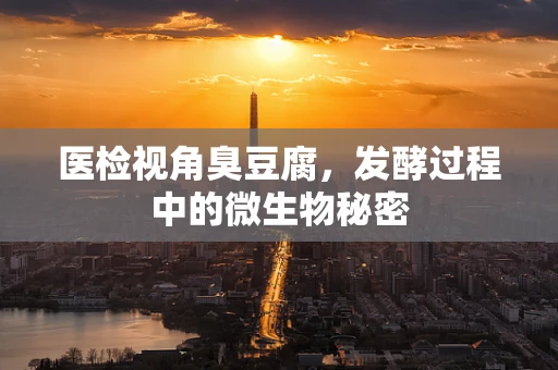 医检视角臭豆腐，发酵过程中的微生物秘密