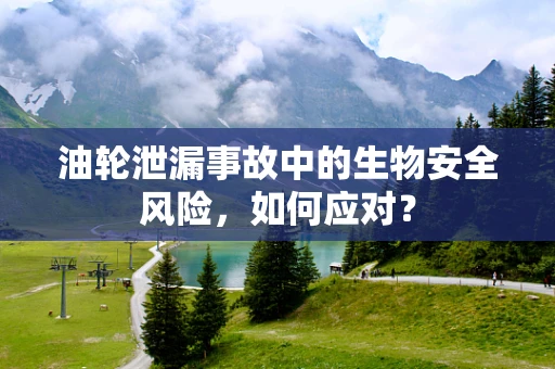 油轮泄漏事故中的生物安全风险，如何应对？