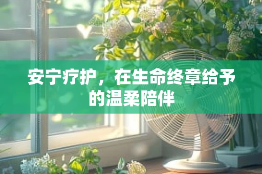 安宁疗护，在生命终章给予的温柔陪伴