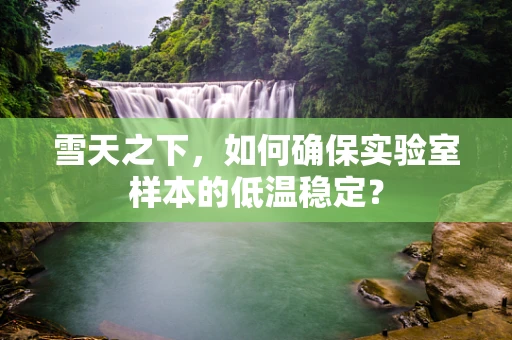 雪天之下，如何确保实验室样本的低温稳定？