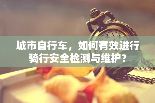 城市自行车，如何有效进行骑行安全检测与维护？