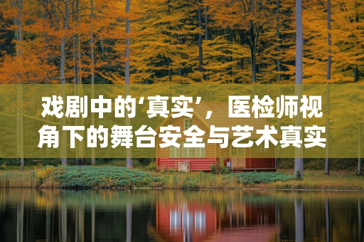 戏剧中的‘真实’，医检师视角下的舞台安全与艺术真实性的平衡