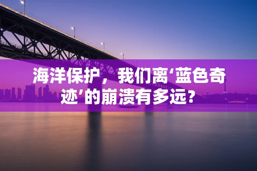 海洋保护，我们离‘蓝色奇迹’的崩溃有多远？