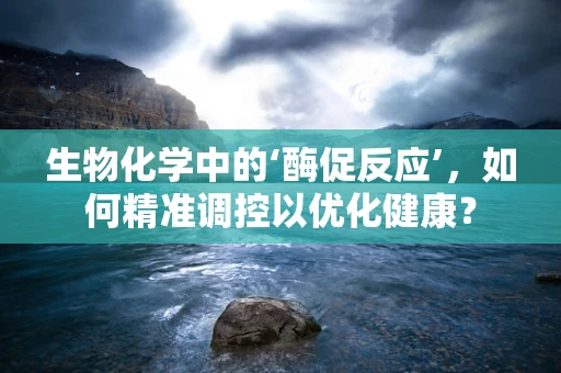 生物化学中的‘酶促反应’，如何精准调控以优化健康？