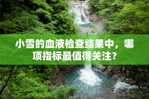 小雪的血液检查结果中，哪项指标最值得关注？