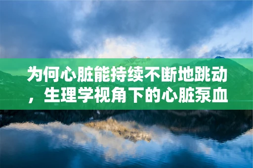 为何心脏能持续不断地跳动，生理学视角下的心脏泵血机制