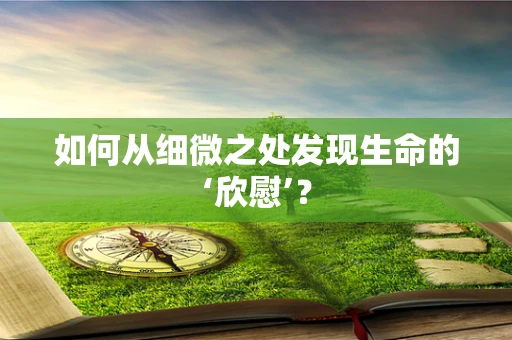 如何从细微之处发现生命的‘欣慰’？