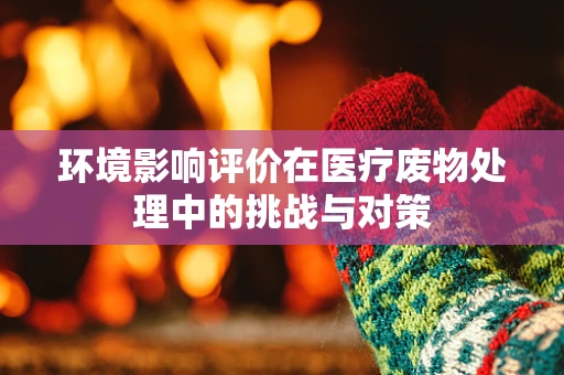 环境影响评价在医疗废物处理中的挑战与对策
