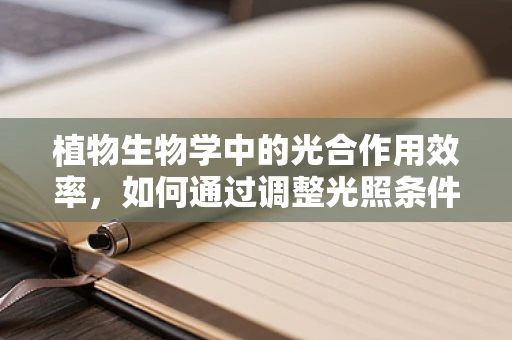 植物生物学中的光合作用效率，如何通过调整光照条件优化？