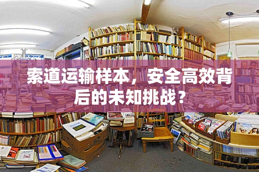 索道运输样本，安全高效背后的未知挑战？