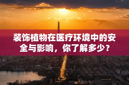 装饰植物在医疗环境中的安全与影响，你了解多少？