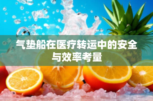 气垫船在医疗转运中的安全与效率考量