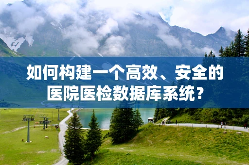 如何构建一个高效、安全的医院医检数据库系统？
