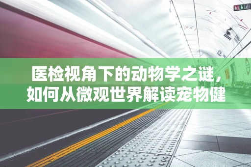 医检视角下的动物学之谜，如何从微观世界解读宠物健康密码？