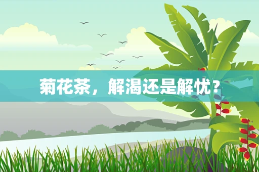 菊花茶，解渴还是解忧？