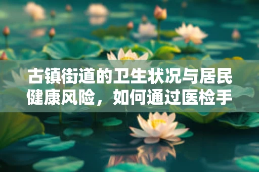 古镇街道的卫生状况与居民健康风险，如何通过医检手段进行评估？