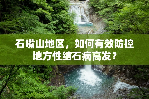 石嘴山地区，如何有效防控地方性结石病高发？
