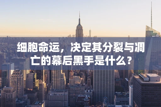 细胞命运，决定其分裂与凋亡的幕后黑手是什么？