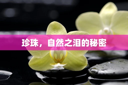 珍珠，自然之泪的秘密