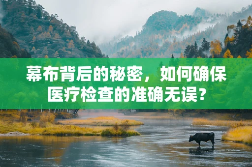 幕布背后的秘密，如何确保医疗检查的准确无误？