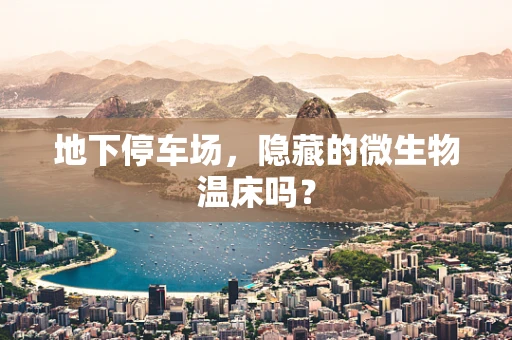 地下停车场，隐藏的微生物温床吗？