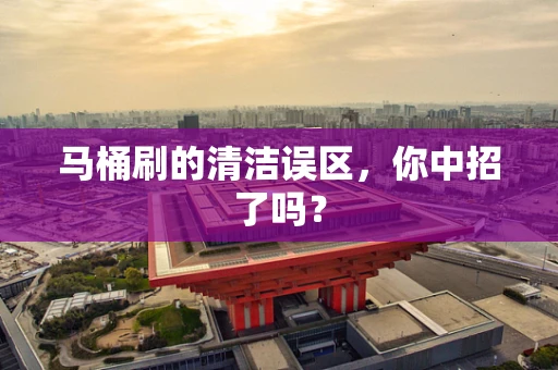 马桶刷的清洁误区，你中招了吗？
