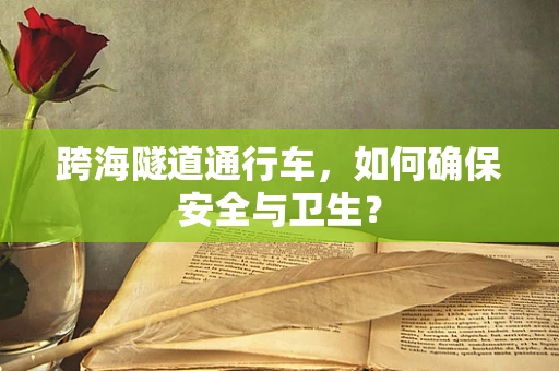 跨海隧道通行车，如何确保安全与卫生？