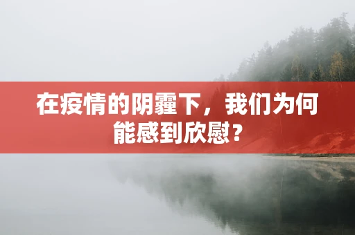 在疫情的阴霾下，我们为何能感到欣慰？
