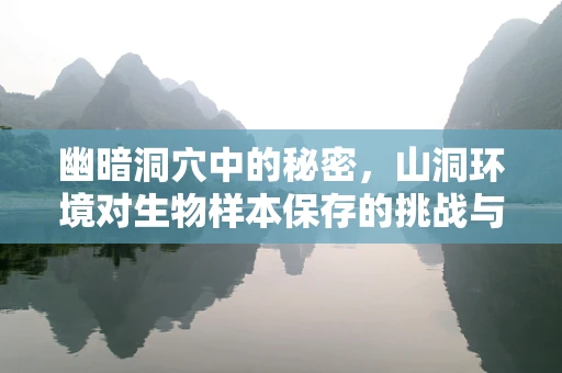 幽暗洞穴中的秘密，山洞环境对生物样本保存的挑战与对策
