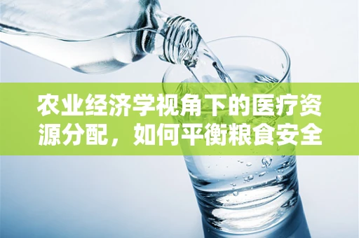 农业经济学视角下的医疗资源分配，如何平衡粮食安全与医疗保障？