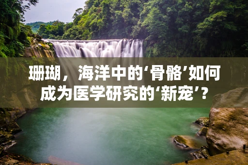 珊瑚，海洋中的‘骨骼’如何成为医学研究的‘新宠’？