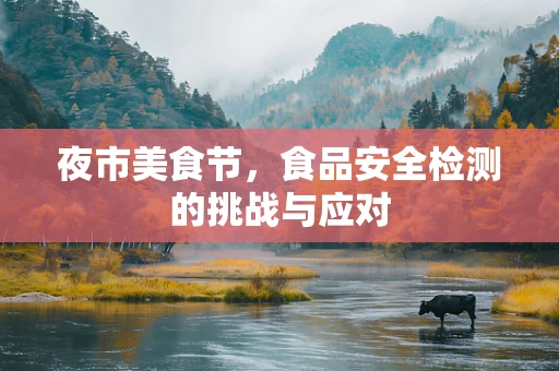 夜市美食节，食品安全检测的挑战与应对