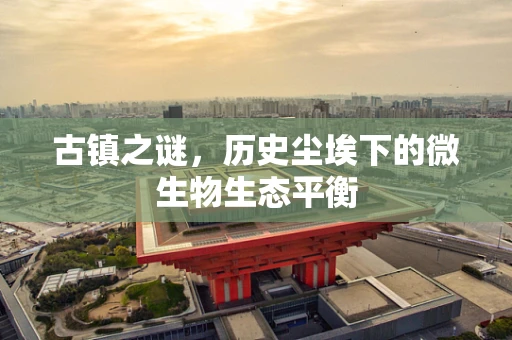 古镇之谜，历史尘埃下的微生物生态平衡